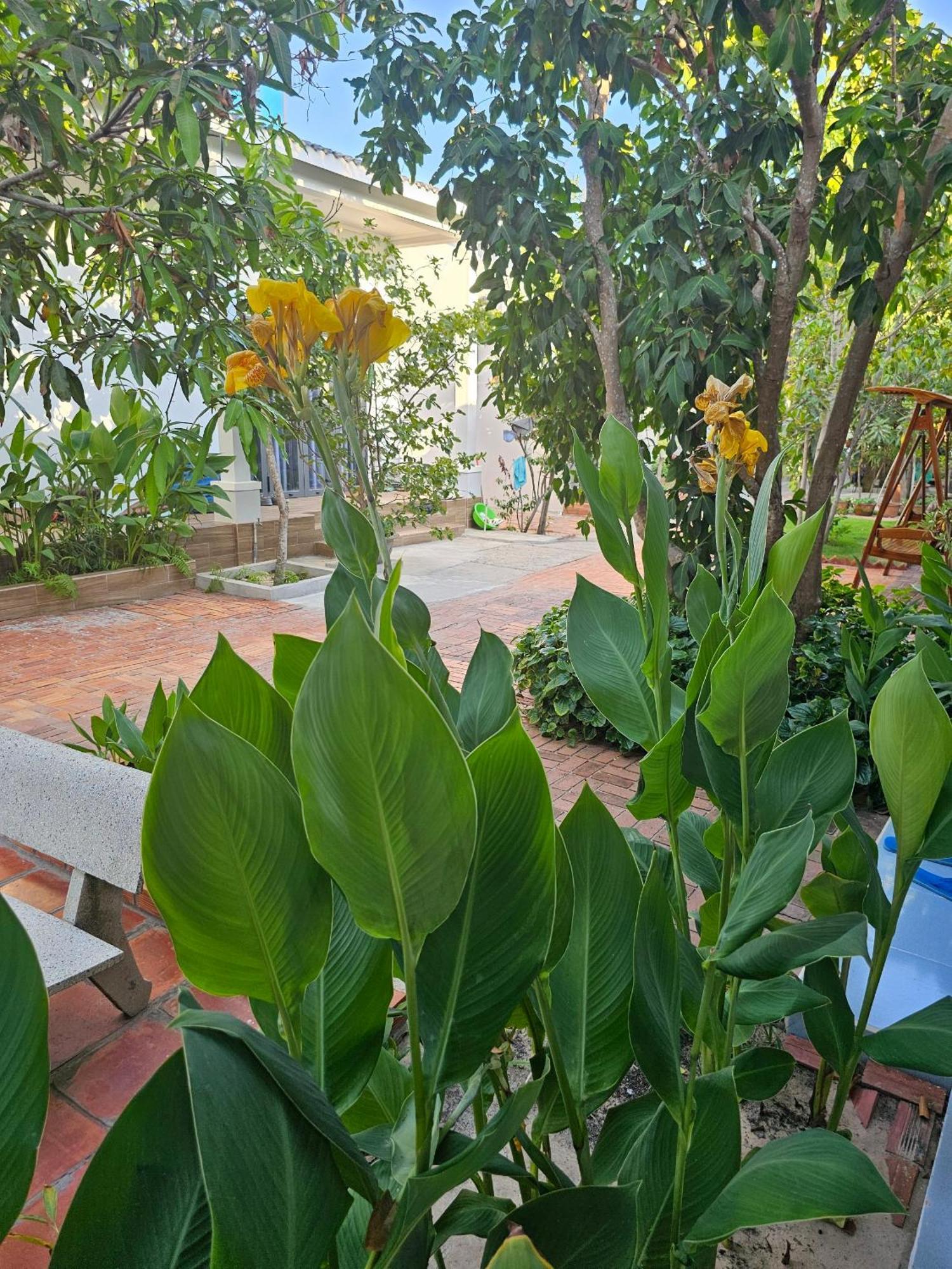 Cay Phuong Guesthouse Mũi Né Ngoại thất bức ảnh